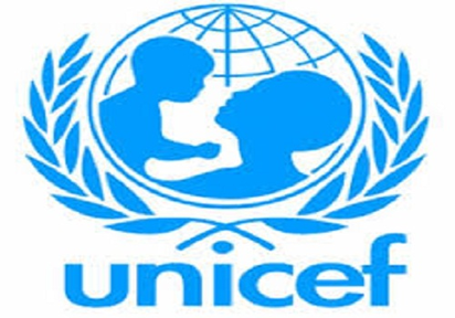 Unicef UNICEF trains PHC workers in Delta