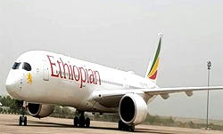 Ethiopia to privatise parts of Ethiopian Airlines, telecom
