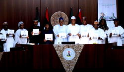 2017 budget, taking too long, says NACCIMA