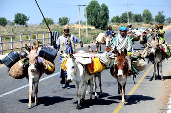 We convey pregnant women to hospitals on donkeys ― Bauchi communities