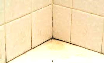 Maintaining grout in tiles can be easier than you think