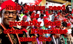 What Igbo need is probably what other Nigerians need too