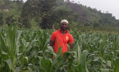 Dangote, GrowAfrica, Nigeria Agribusiness Group sign MoU on investment in agriculture value chain