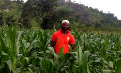 Obaseki commits to Agric devt. in Esanland with 400ha maize farm, piggery projects