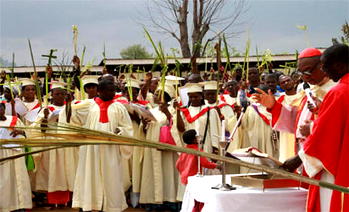 Photos: Procession to mark Palm Sunday in Abuja