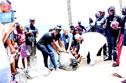 Vanishing Lekki coastlines: LUFASI, community  urge FG to save Lekki coast