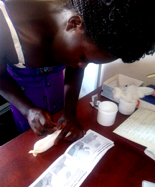 Family Planning: Uganda’s success, lesson for Nigeria