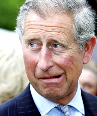 Leaders approve Prince Charles to succeed Queen as Commonwealth head