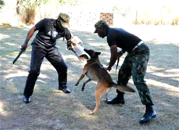 NAF acquires dogs to detect explosives, arms and ammunitions