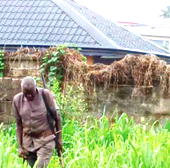 Dispute as ECTDA demolishes encroachment into ex-Biafra soldier’s property