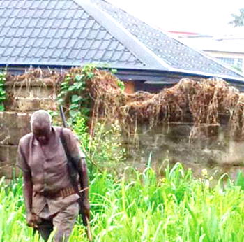 Dispute as ECTDA demolishes encroachment into ex-Biafra soldier’s property