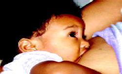 Why your baby should not receive any supplement or water