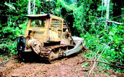 They destroyed all the crops, the source of our wealth: Cassava, cocoa plantain…—Villagers