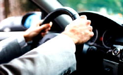 Riding With Decorum (Part 1)