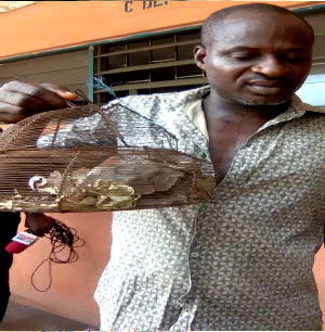 Herbalist strangles day old baby, dumps body in pit toilet