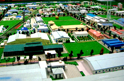 The killing of 40 and more companies