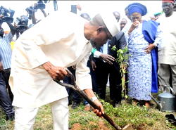 Aregbesola orders all Govt institutions to plant 60 trees each within 90 days