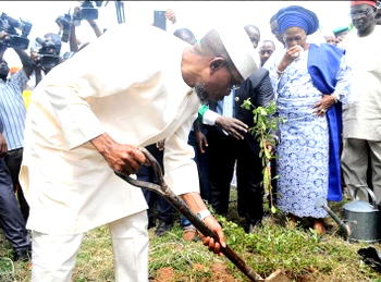 Aregbesola orders all Govt institutions to plant 60 trees each within 90 days