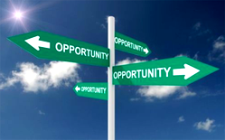 The price of opportunity