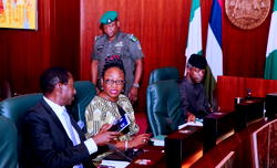 Arguments on Osinbajo’s current status needless distraction – FG