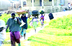 Attackers slaughtered seven siblings after father lined them up – Eye witness