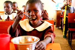 Inclusion of orange-flesh sweet potato boosts school meals