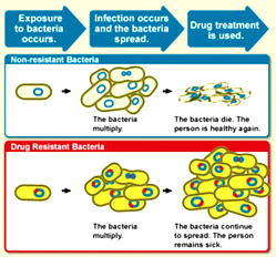 Synthetic mucus, solution to antibiotic resistance