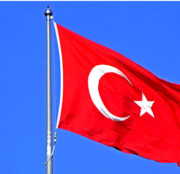 Turkey is safe for real journalists-Minister