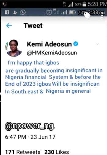Finance Minister Adeosun denies hate tweet against Igbos