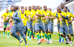 We’ll shock Eagles with our counter attack —Bafana Captain