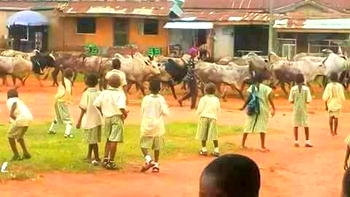 Fresh alarm over killer-herdsmen in the South-South