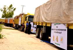 FG committed to address rejection of Nigeria’s exportable products -Awolowo