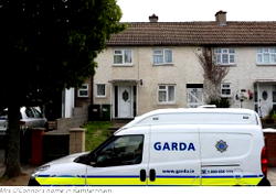 Man murders grandmother, cuts body, drops pieces in eight locations