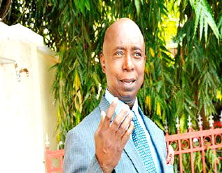 Paris Club refund  We pursued creditor-countries for ten years ’ — Ned Nwoko