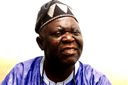 Killings, violence sponsored by opponents of govt — Opadokun