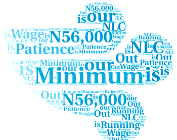 Why we promised Imo workers N40,000 minimum wage —YDP