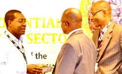 Nigeria can be net exporter of oil palm — Solidaridad