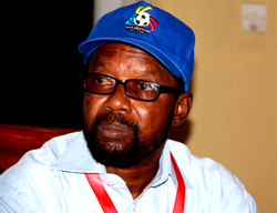World Cup qualifier:  Disu raises fresh alarm over Indomitable Lions