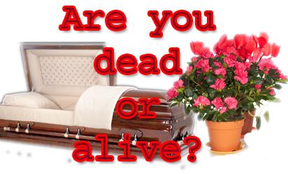Are you DEAD or ALIVE?