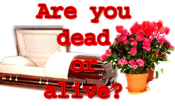 Are you dead or alive?