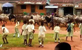 Govt to renovate over 1,200 public schools in Edo
