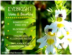 Amazing!How 4 Strange Herbal Tea  Can Help Crush Any Eye Problem