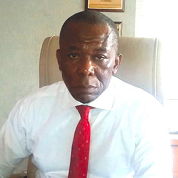 How states can become self-sufficient through palm oil production—Agwu
