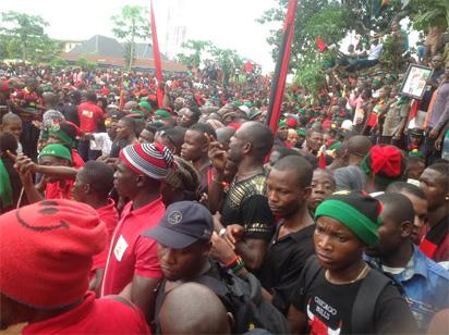 Opinion poll shows overwhelming Igbo majority wants Biafra