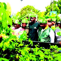 C-River plans largest woodland in Africa