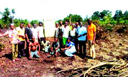 Indigenous Authority triggers freedom of Ogoniland with 59 cassava farms