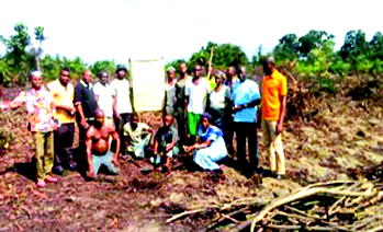 Indigenous Authority triggers freedom of Ogoniland with 59 cassava farms