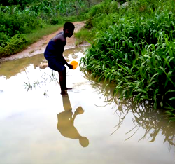 Inland waterways: Lagos refutes NIWA’s claims