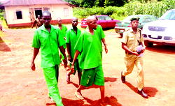 Police arrest mother, son over alleged murder of sibling