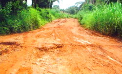 Anambra govt. worries over 600 active erosion sites